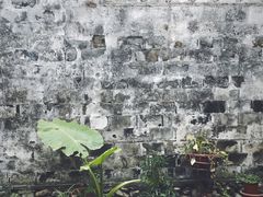 -前童古镇