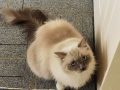 -零纪元VR体验馆·桌游(黄浦店)