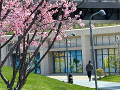 -宁波儿童公园(鄞州区)