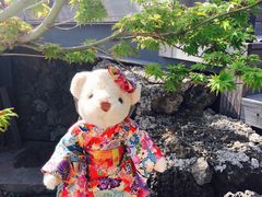 -济州岛泰迪熊博物馆