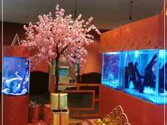 -上海海洋水族馆