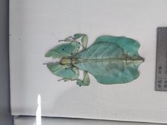 -郑州自然博物馆(惠济区)