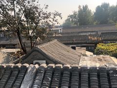 -信园
