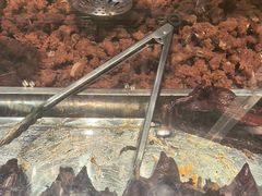 -乔波食品(杜桥中心菜场店)