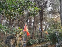 -客乐得玉峰山房车营地