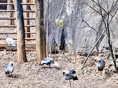 -昆明动物园