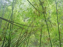 -阿依河景区