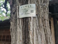 -胡氏古民居建筑