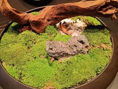 -上和臻品中国菜(花园街店)