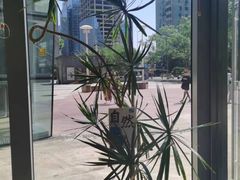 -Blueglass酸奶(财富购物中心店)