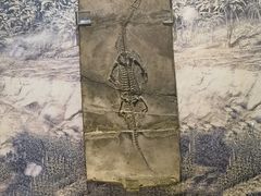 -昆明动物博物馆