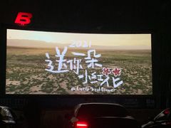 -枫花园汽车电影院(朝阳公园店)