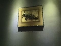 -歌声里K BAR(星湖城店)