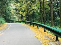-金堂县云顶石城风景区