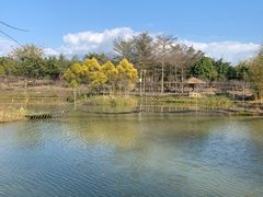 -天适樱花悠乐园