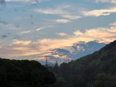 -八卦田遗址公园