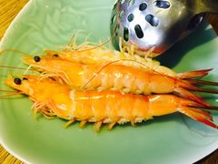 -海桐