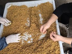 -苏州市吴中区光福窑上花果蜜饯厂