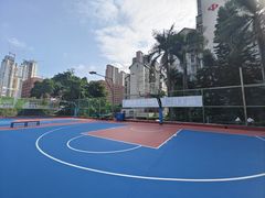-金湖花园篮球场