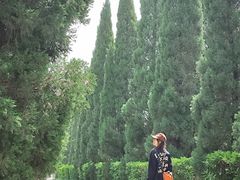 -洛阳市隋唐城遗址植物园