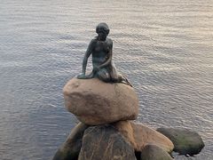 -美人鱼