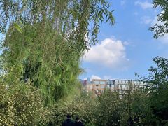 -长春市南湖公园