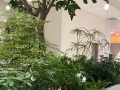 -大树餐厅(红旗街万达店)