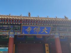 -张掖大佛寺景区