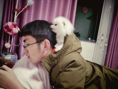 -1013 PET SHOP 宠物商店(近铁城市广场店)