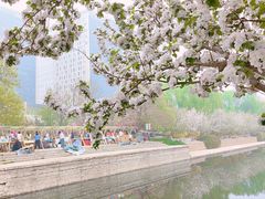 -海棠花溪(元大都城垣遗址公园)