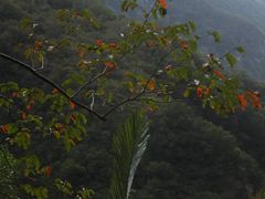 -太鲁阁公园