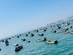 -海源公园