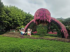 -王借岗森林公园