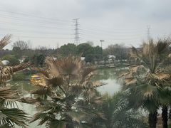 -桃园农庄·桃源宴