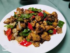 -煲来饱去冷水鱼