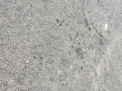 -东升园海鲜家