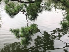 -上海醉白池公园