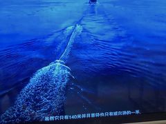 -chi K11艺术空间展览厅