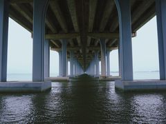 -宝安西湾红树林湿地公园