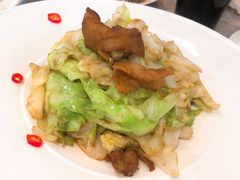 手撕圆白菜-106餐厅(山水文园店)