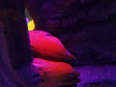 -沈阳海洋探索中心