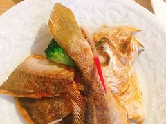 -锦粤宫·融合粤菜(上海金沙江店)