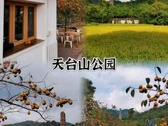 -济南大明湖景区