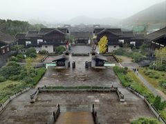 -大唐贡茶院
