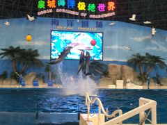 -泉城欧乐堡海洋极地世界