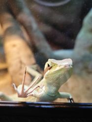 -酷嗒动物文化乐园(cutezoo西溪乐天城店)