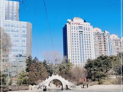 -团结湖公园