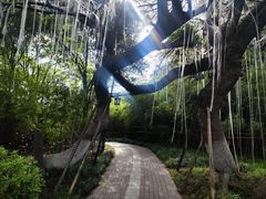 -凤城河风景区