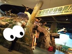 -陕西自然博物馆