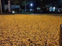 -绵阳人民公园(涪城区)